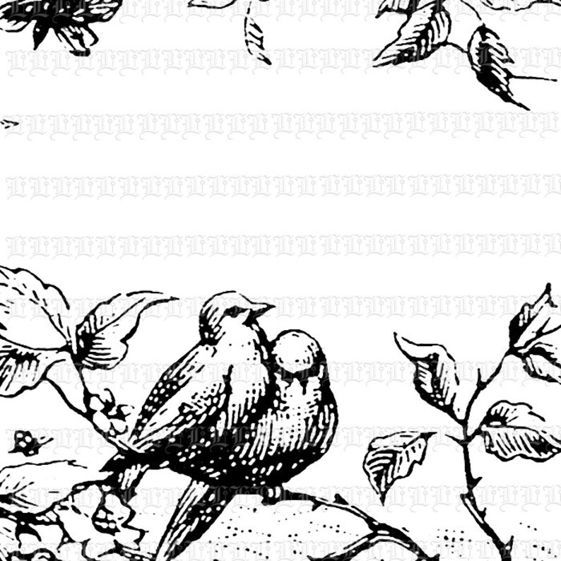 Birds Nest Header Footer Borders Digital Collage Sheet Illustrations ...