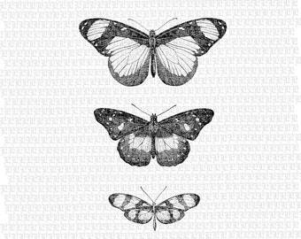 Butterflies Digital Collage Sheet Antique Illustration Butterfly Graphics Vintage Insects Clip Art Graphics 2215