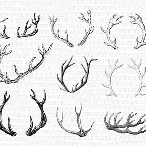Printable Deer Antlers Vintage Graphics Digital Collage Sheet Instant Download 2429