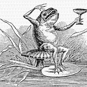 May include: A black and white illustration of a frog sitting on a mushroom, holding a glass of wine. The frog is wearing a hat and has a smile on its face.