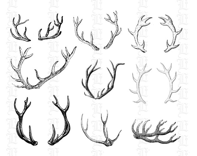 Printable Deer Antlers Vintage Graphics Digital Collage Sheet - Etsy