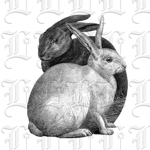 Antique Clip Art Bunny Digital Rabbits Vintage Clip Art Black and White Illustrations High Quality Printable Digital Collage Sheet 0114