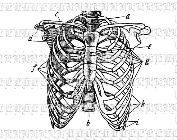 Medical Chart Letters