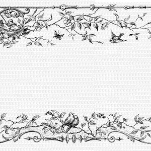 Birds Nest Header Footer Borders Digital Collage Sheet  Illustrations Printable Graphics Instant Download 4002