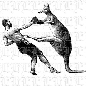 Kangourou lutte imprimable victorien Circus Clip Vintage Ar haute qualité numérique graphique 0151