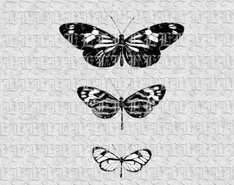 Digital Collage Sheet Three Butterflies Vintage Clip Art Graphics 0160