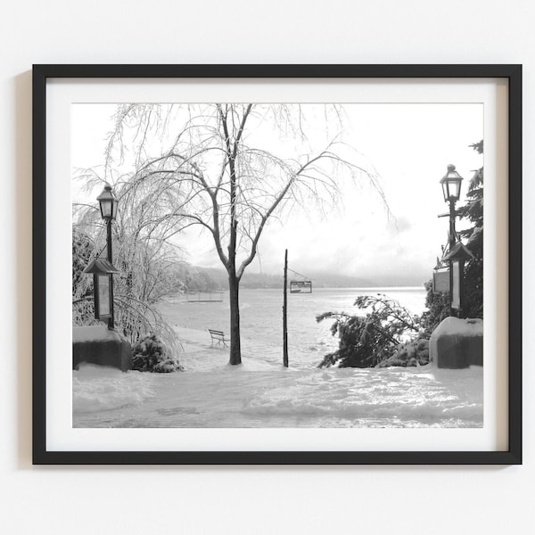 Vintage Ice Storm Photo Print: Black and White Winter Lake Landscape