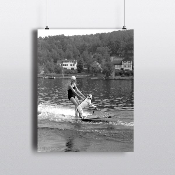 Funny dog water skiing photo print, Vintage inspired lake house wall art, Cute fun retro summer home decor, Black and white custom print