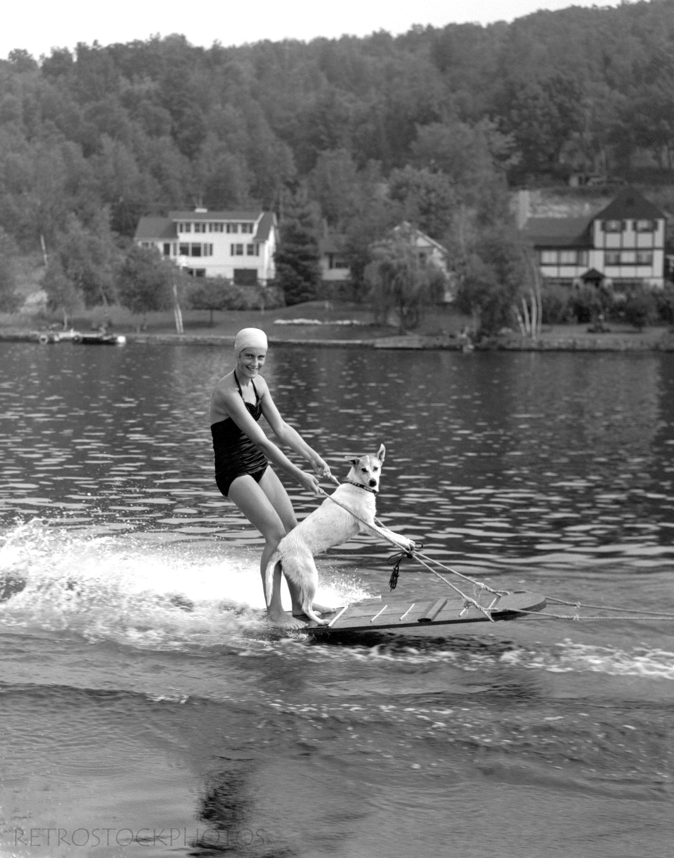vintage dog waterskiing photo, funny 1930's retro wall art, summe…
