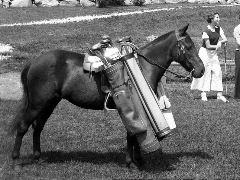 Vintage golf photo horse caddy image retro wall art | Etsy