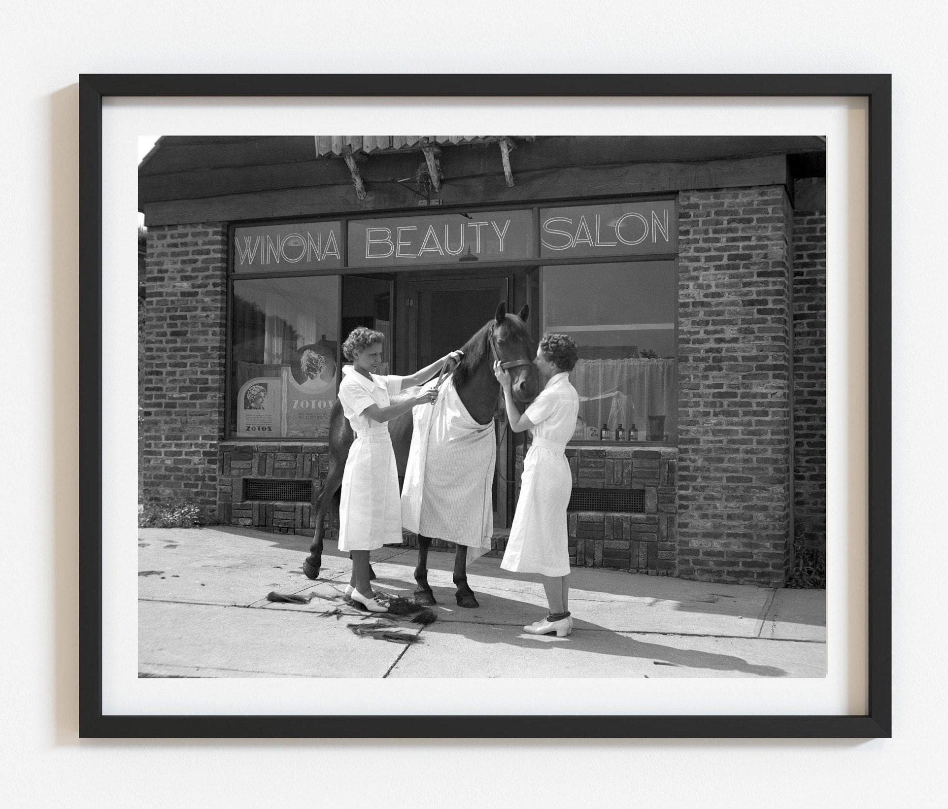 Funny vintage horse getting haircut photo, Retro wall art, Hairstylist gift, Horse lover gift, Black and white custom print, Select size