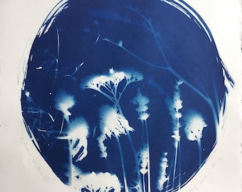 Tirage cyanotype, jardin d automne IX : Échinacée, Art Original, 11 "x 11 »