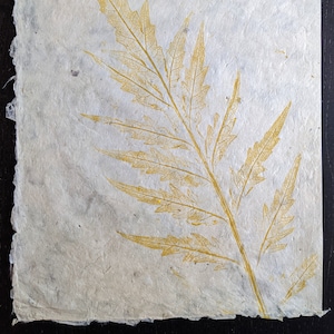 Cardoon, Monotype print on handmade paper