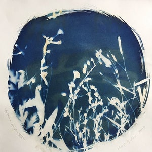 Cyanotype Print, Autumn Garden VII : Dianthus, Original Art, 11&quot;x11&quot;