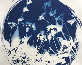 Tirage cyanotype, jardin d automne VIII : À base de plantes, Original Art, 11 "x 11 »