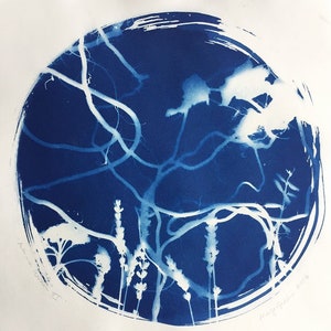 Cyanotype Print, Autumn Garden XI : Roots, Original Art, 11&quot;x11&quot;