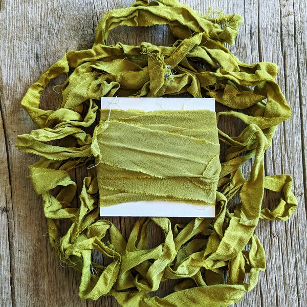 Lichen, Naturally Dyed Chiffon Silk Sari Ribbon, 5 yards ea.