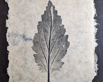 Salvia Leaf, monotype print on handmade paper