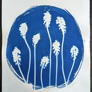 Muscari, Cyanotype Print, 10 x 11.5&quot;, Original Print