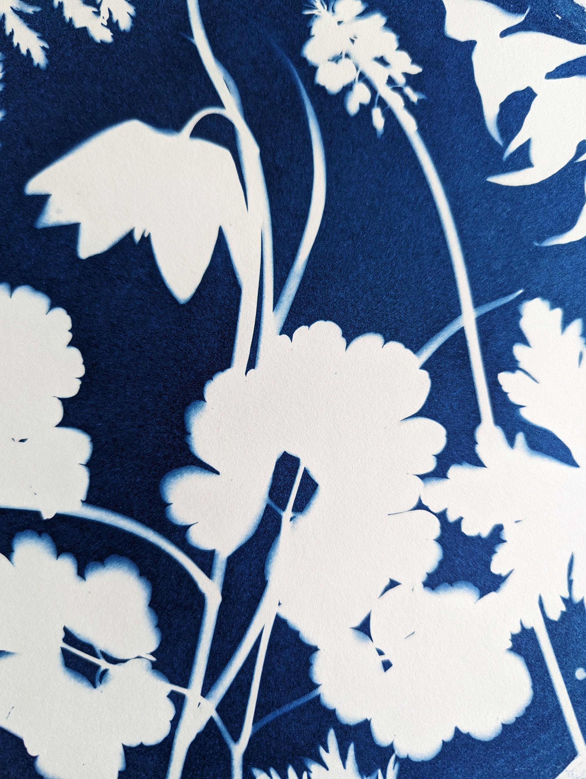 Spring Garden, Cyanotype Print - Etsy