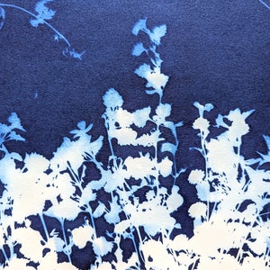Summer Garden II, Cyanotype Print