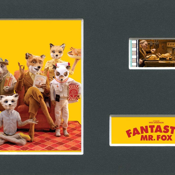 Fantastic Mr Fox original rare & genuine film cell display from the movie mounted ready for framing!