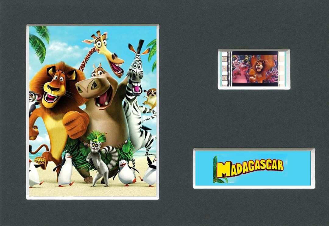 A Madagascar Dreamworks Original Rare & Genuine Film Cell From the