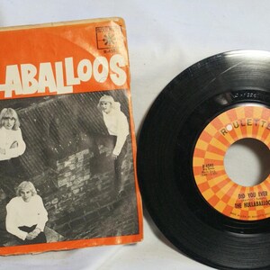 1964 "Did You Ever" & "Beware"  by The Hullaballoos / Roulette Records / Hugo Luigi/ 45 RPM Vinyl
