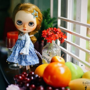 Dolls clothes for Neo blythe, Pullip doll.