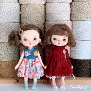 Dolls clothes for Holala dolls.