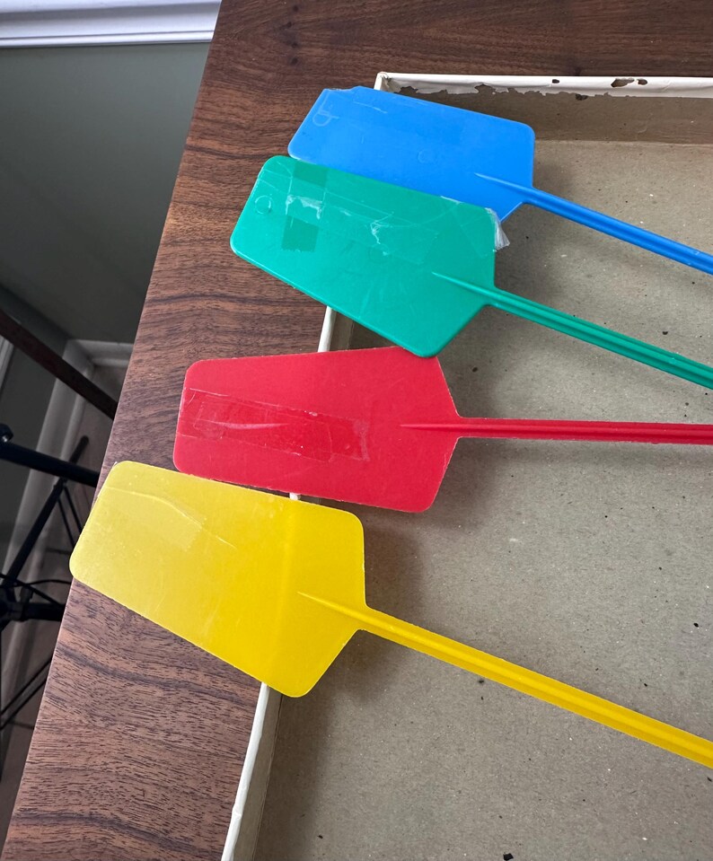 Puede incluir: Cuatro paletas de pl&aacute;stico de colores azul, verde, rojo y amarillo. Cada paleta tiene una cabeza rectangular y un mango largo y delgado. Las paletas est&aacute;n dispuestas en una caja sobre una superficie de madera.