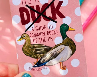 It’s Not a Duck! – Funny Illustrated Mini Zine Guide about British Ducks
