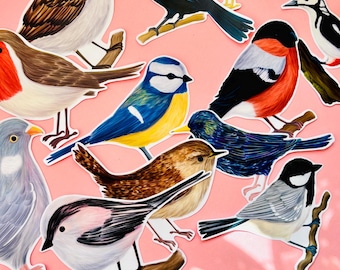 British Garden Birds Vinyl Stickers: Waterproof Wildlife Art Decals