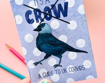 It’s Not Just a Crow! – Illustrated bird guide of UK Corvids Zine