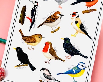 British Garden Birds Art Print: Cottagecore Nature Wall Decor