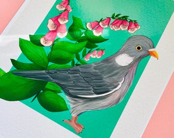 Pigeon Art Print for Nature Lovers— British Wildlife and Botanical Illustration Wall Art