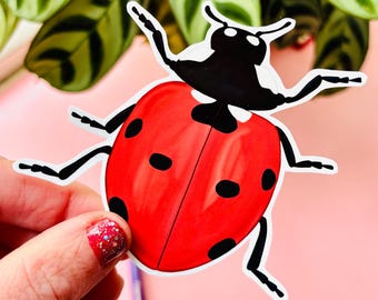 Ladybird Vinyl Sticker- Seven Spot Ladybug Handmade Waterproof Decal for Nature Lovers