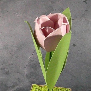 Tulip Decoration SVG Download