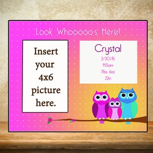 Personalized Baby Frame/Birth Frame Look Whoos here theme/owl theme image 1