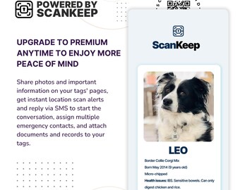 Qrcode Pet Tag, Engraved Tags, QR Code Id Dog Tag, Scannable Id