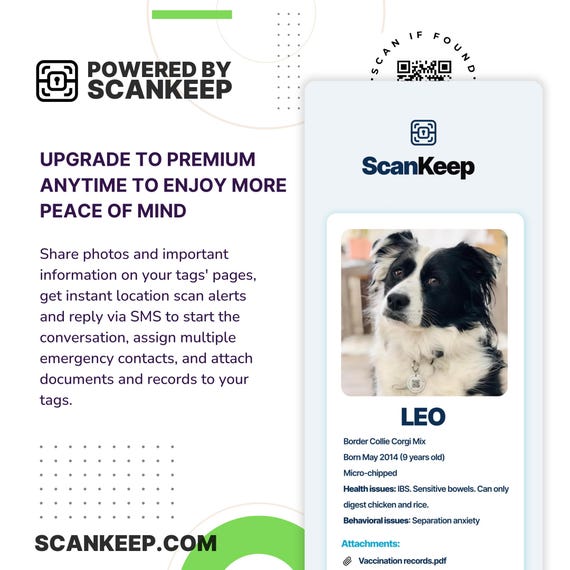 QR CODE Pet Tag, Engraved Dog Tags, QR Code Id Dog Tag