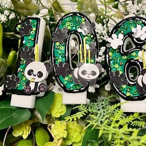 Panda Birthday Number Candle: Custom Colors image 2