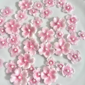 Decorazione per cupcake con fiori commestibili, decorazione per torte con fiori di ciliegio, fiori di pasta frolla.