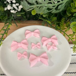 Fondant Bow Cupcake Toppers: Coquette Party Decorations, Mini Cake Bows