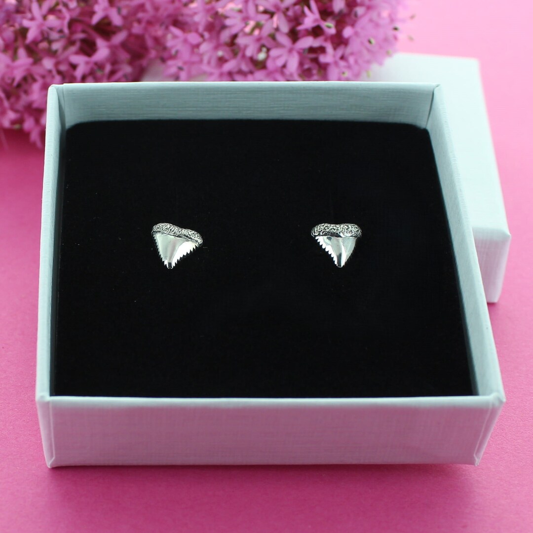 Shark Tooth Stud Earrings - Etsy