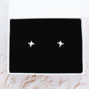 Petite Barbed Wire Stud Earrings