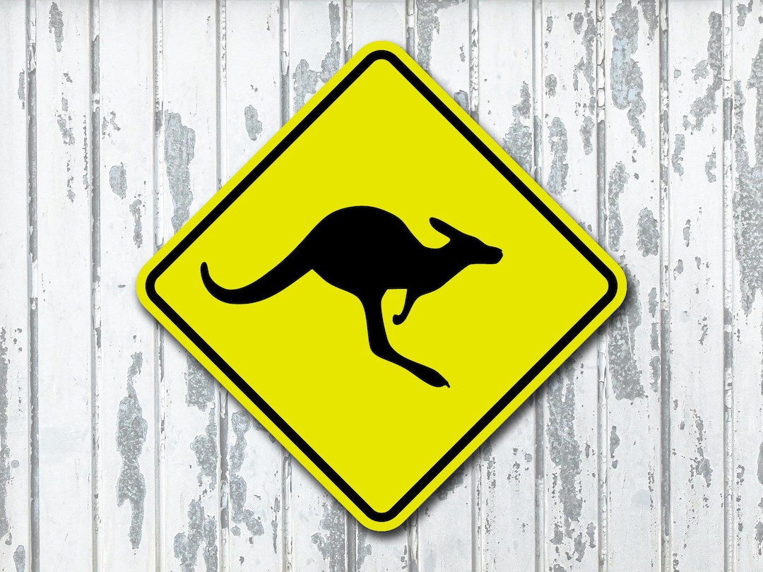 aus Kangaroo Note 輸入盤CDr 【95枚限定】 il_1080xN.7847296975_iyla.jpg