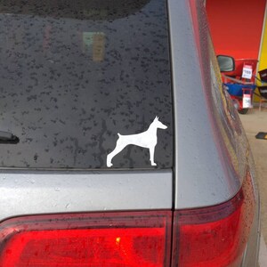 May include: A white silhouette of a Doberman Pinscher dog on a gray car window.