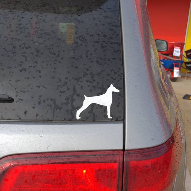 May include: A white silhouette of a Doberman Pinscher dog on a gray car window.