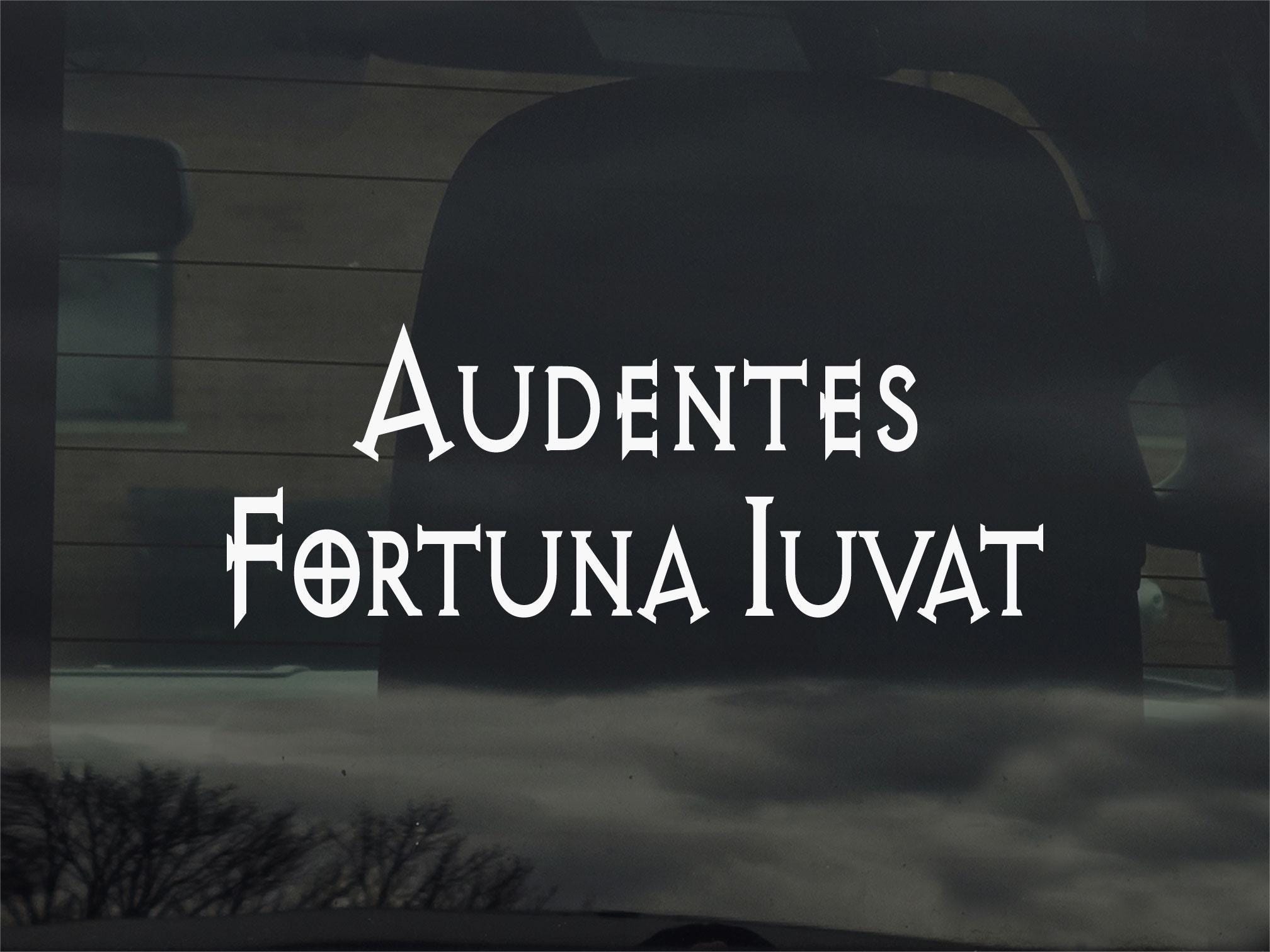 Audentes Fortuna Iuvat Latin Saying Fortune Favors The Bold Vinyl Sticker Decal for Car Window Laptop & More